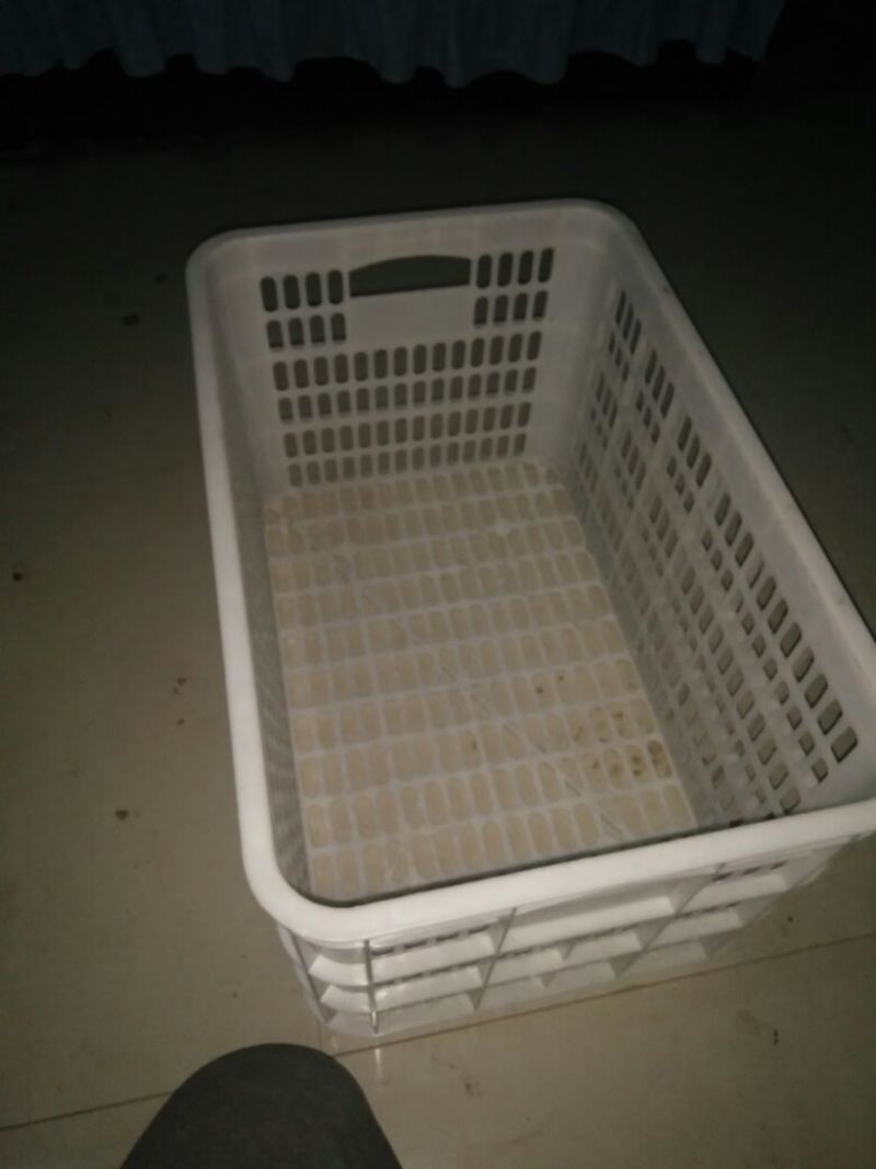 塑料筐外：525*360*300内：490*320*28