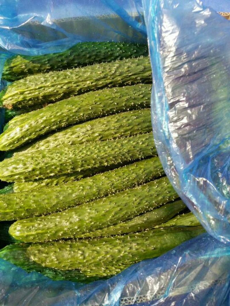 德瑞特721鲜花带刺25公分以上，全国超市电商直供。