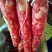 腊肠带绳腊肠