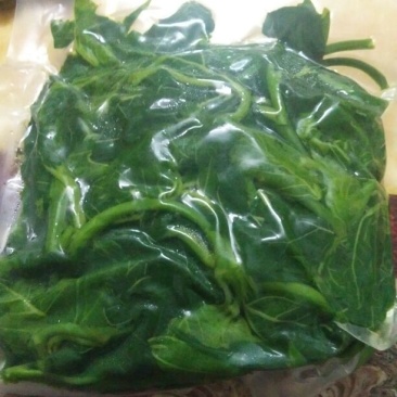 霜桑叶桑叶