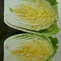 兰陵县黄心白菜，春白菜，黄心大白菜，货源充足，基地直供