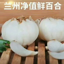 鲜百合三头食用