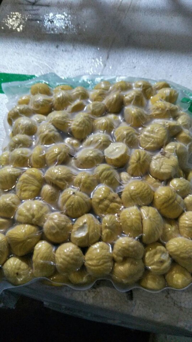 油栗特选菜栗种