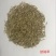 披碱草种子，价格实惠，质量有保障
