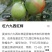 水果黄瓜18~22公分干花带刺