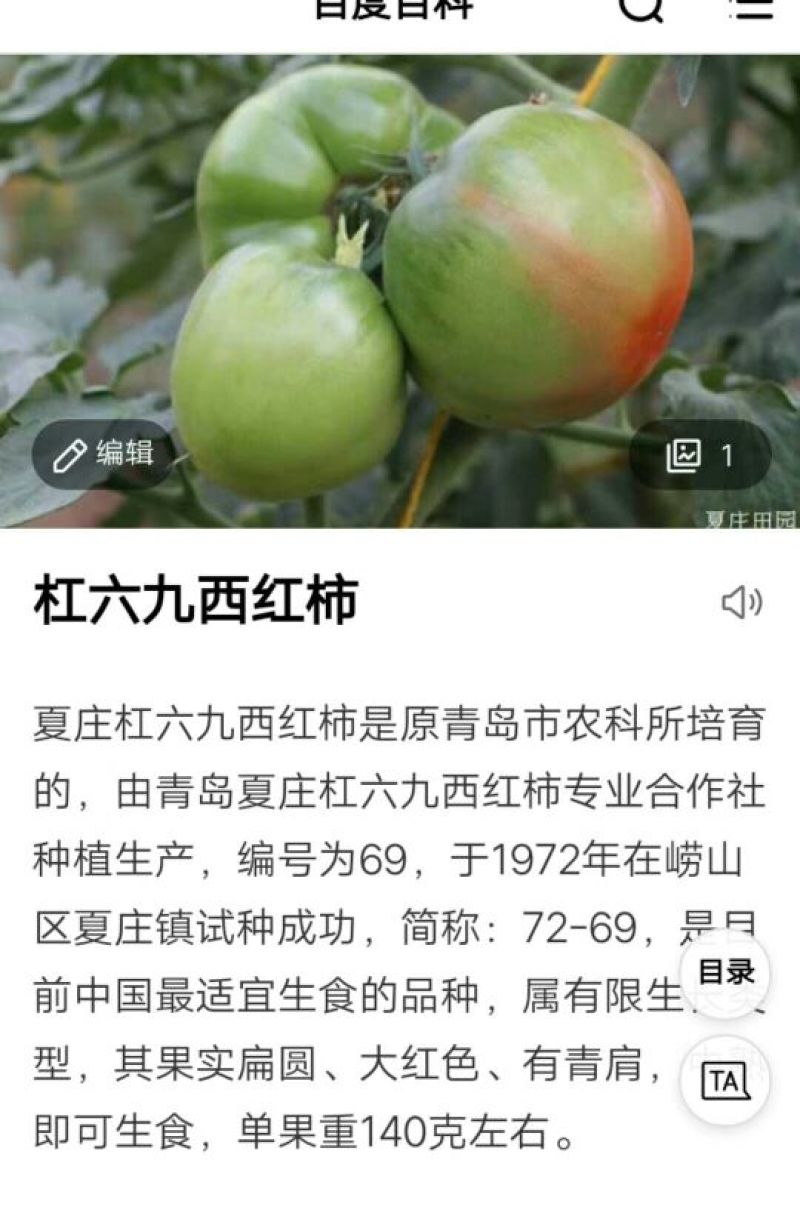 水果黄瓜18~22公分干花带刺