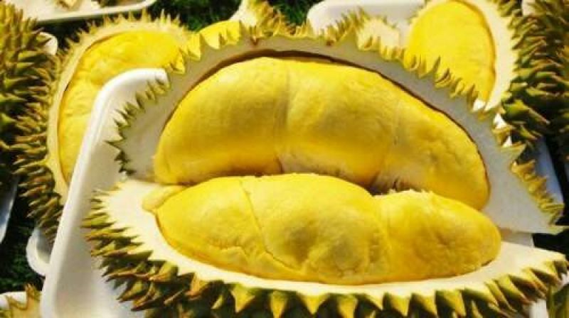 金枕头榴莲5~8斤