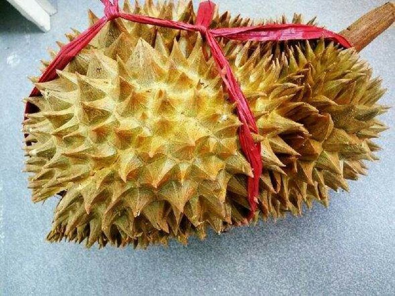 金枕头榴莲5~8斤