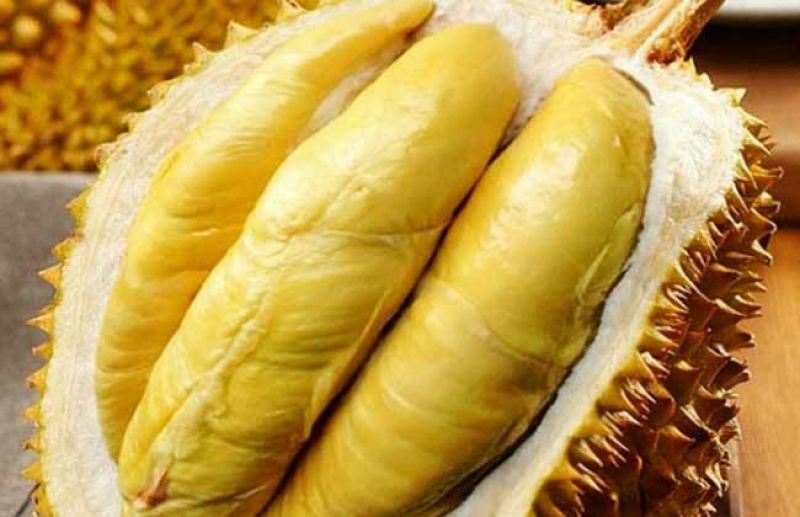 金枕头榴莲5~8斤