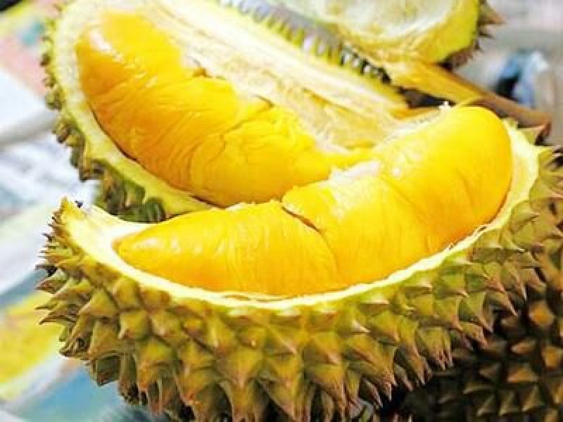 金枕头榴莲5~8斤