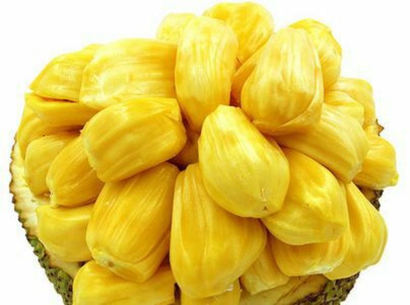 菠萝蜜15~20公斤
