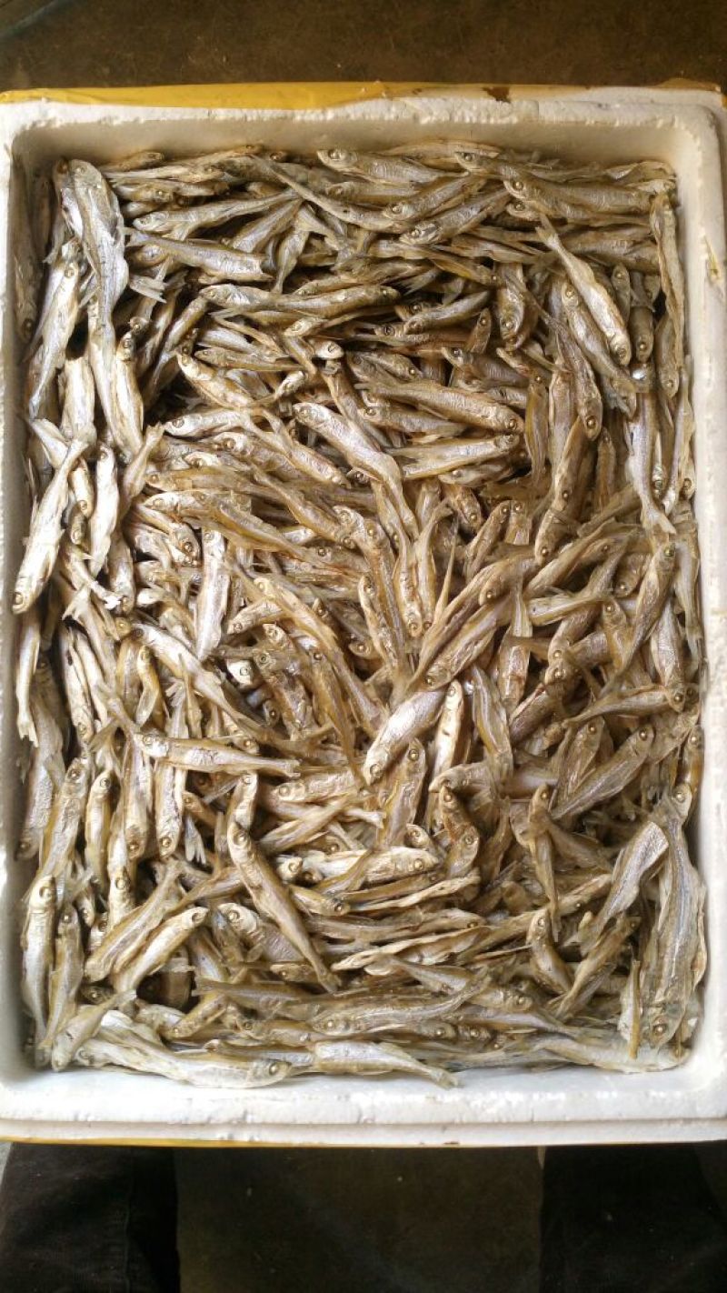 餐条鱼干蒸煮鱼干