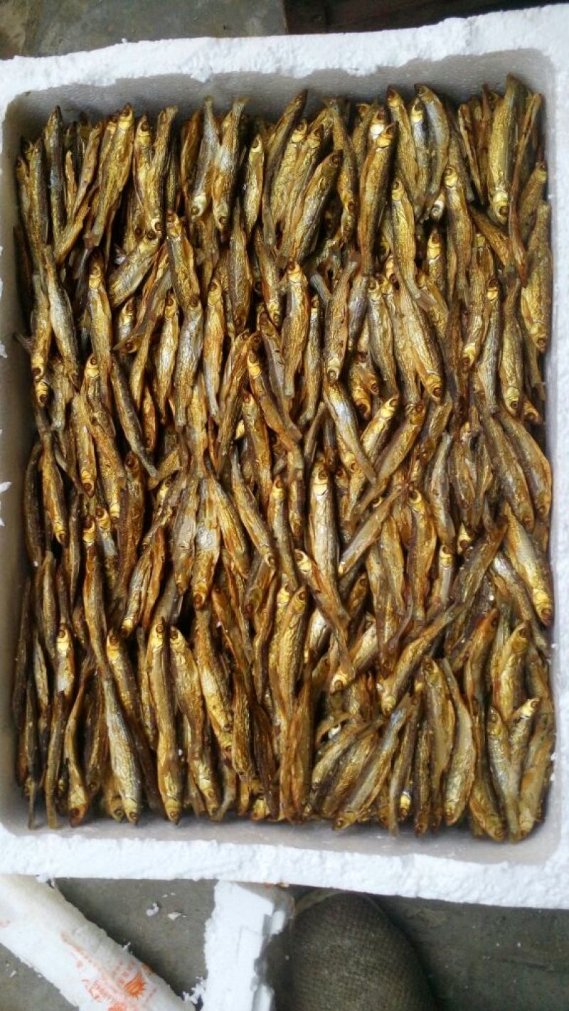 餐条鱼干蒸煮鱼干
