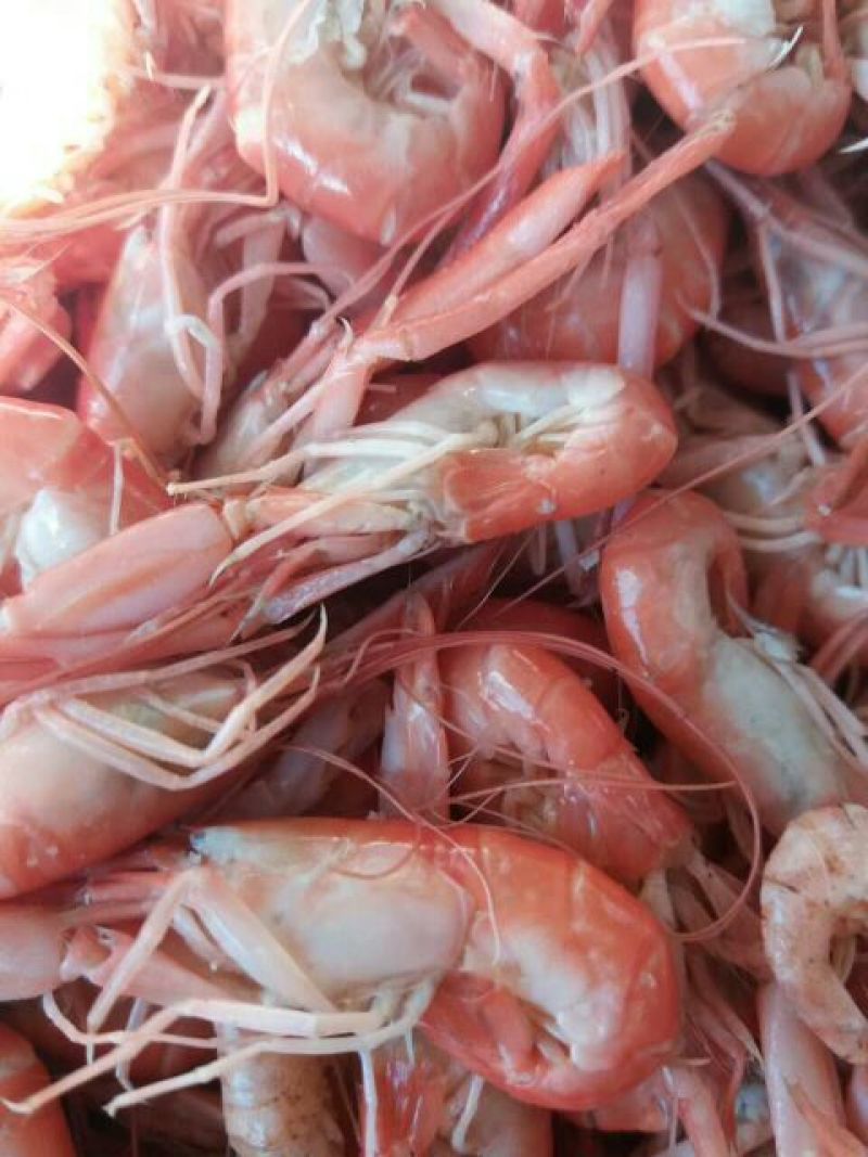 河虾