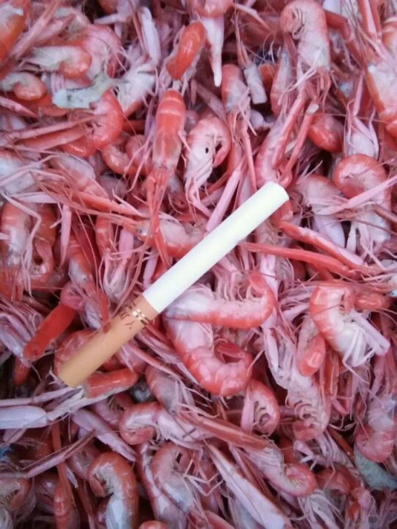 河虾