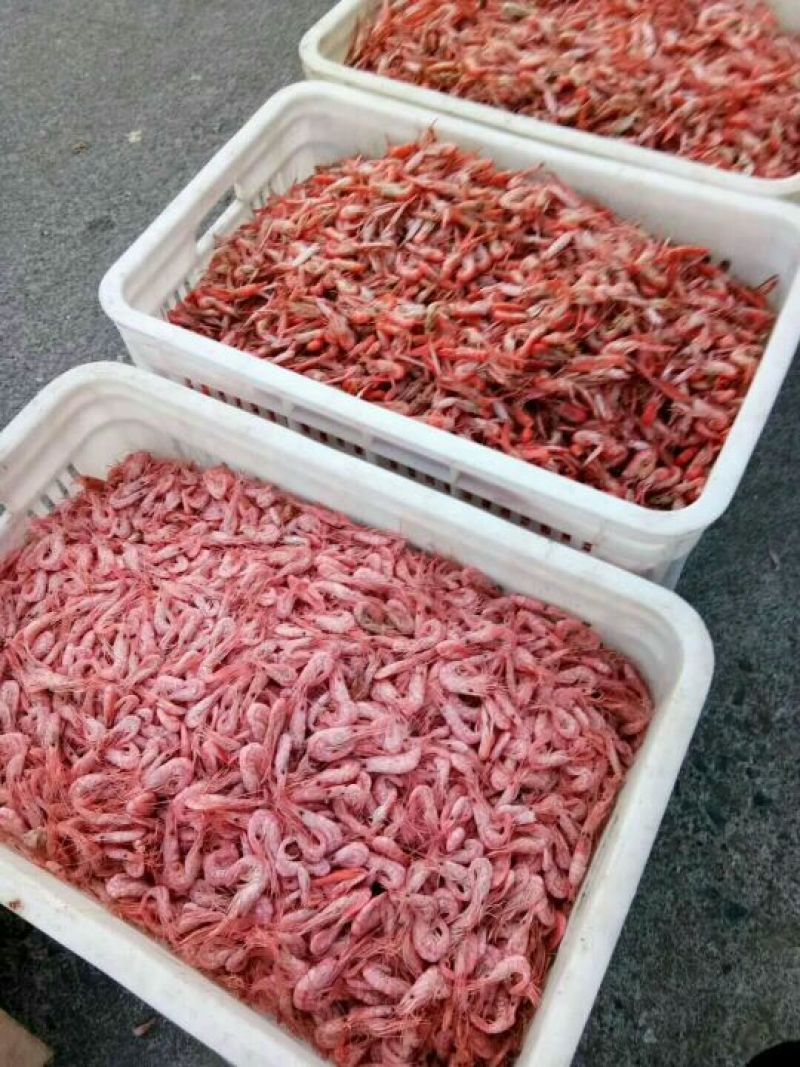 河虾