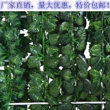 柳条