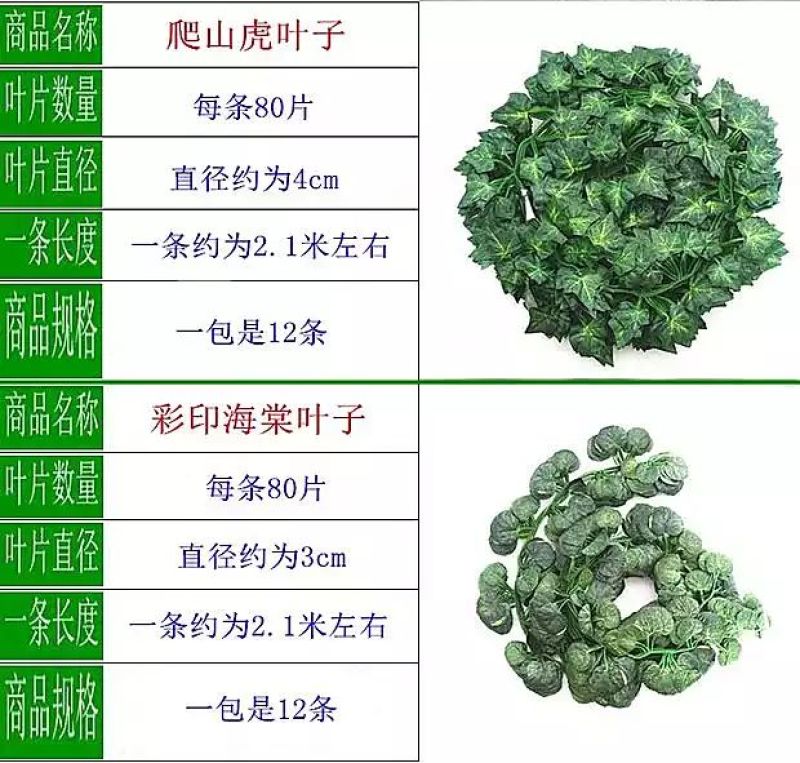 柳条