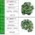 柳条