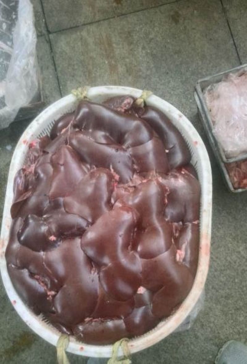 内蒙古草原牛羊产品副产羊肝