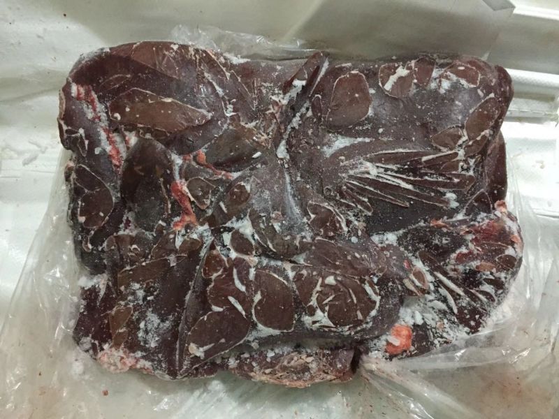 内蒙古草原牛羊产品副产羊肝