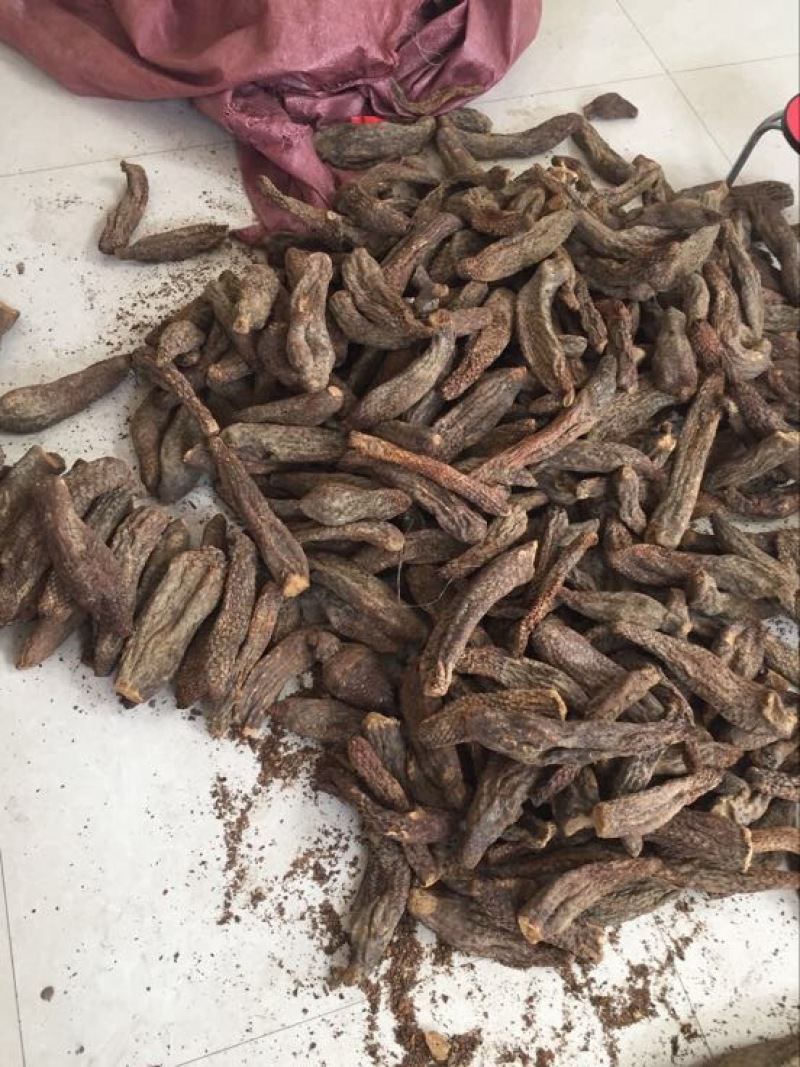 肉苁蓉大芸，新疆肉从容，泡酒，泡茶，加玛卡