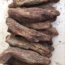 肉苁蓉大芸，新疆肉从容，泡酒，泡茶，加玛卡
