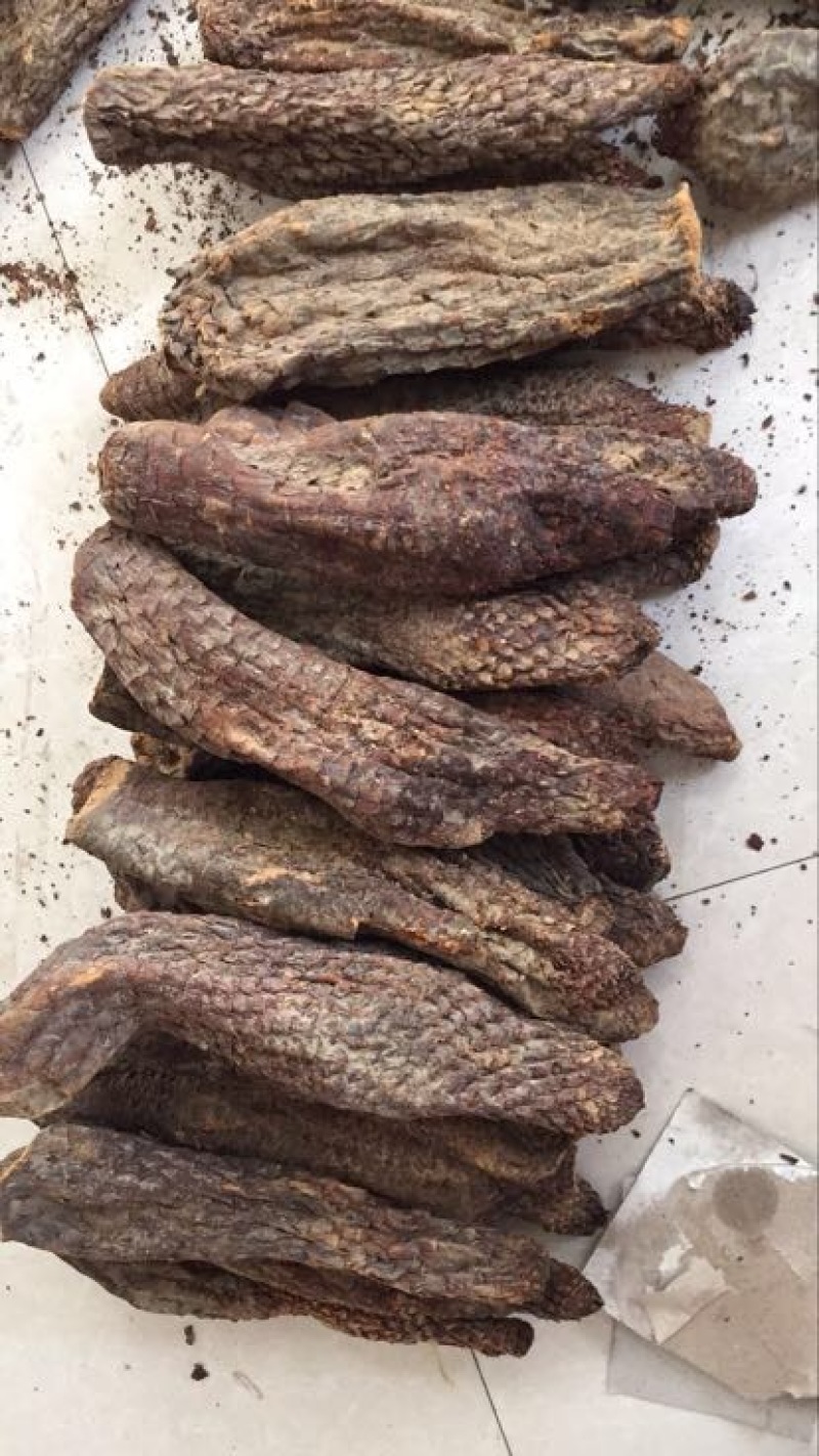 肉苁蓉大芸，新疆肉从容，泡酒，泡茶，加玛卡