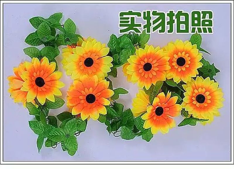 柳条