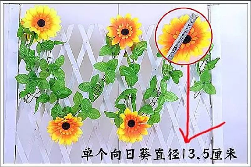 柳条
