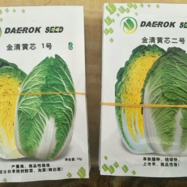 白菜种子
