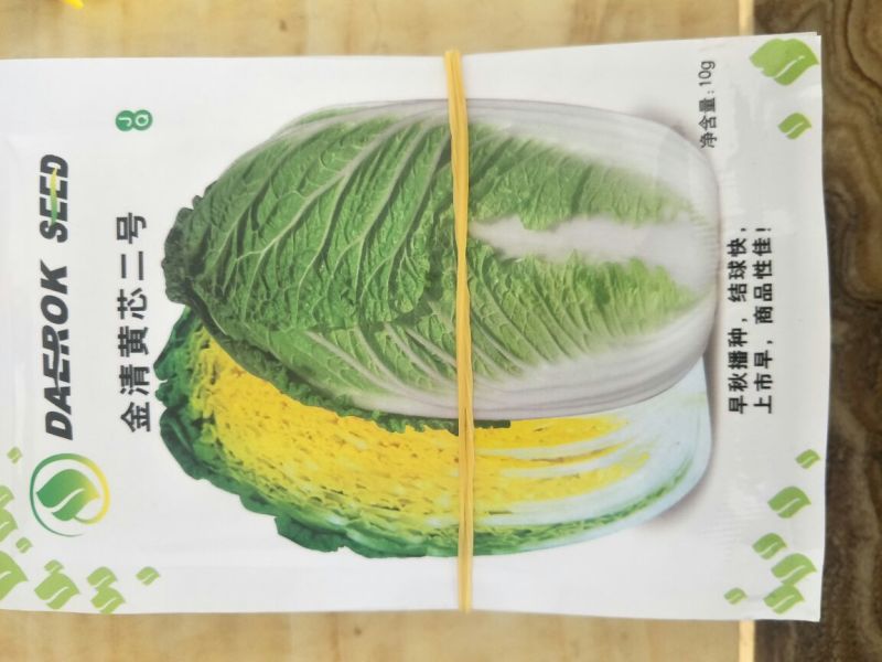 白菜种子