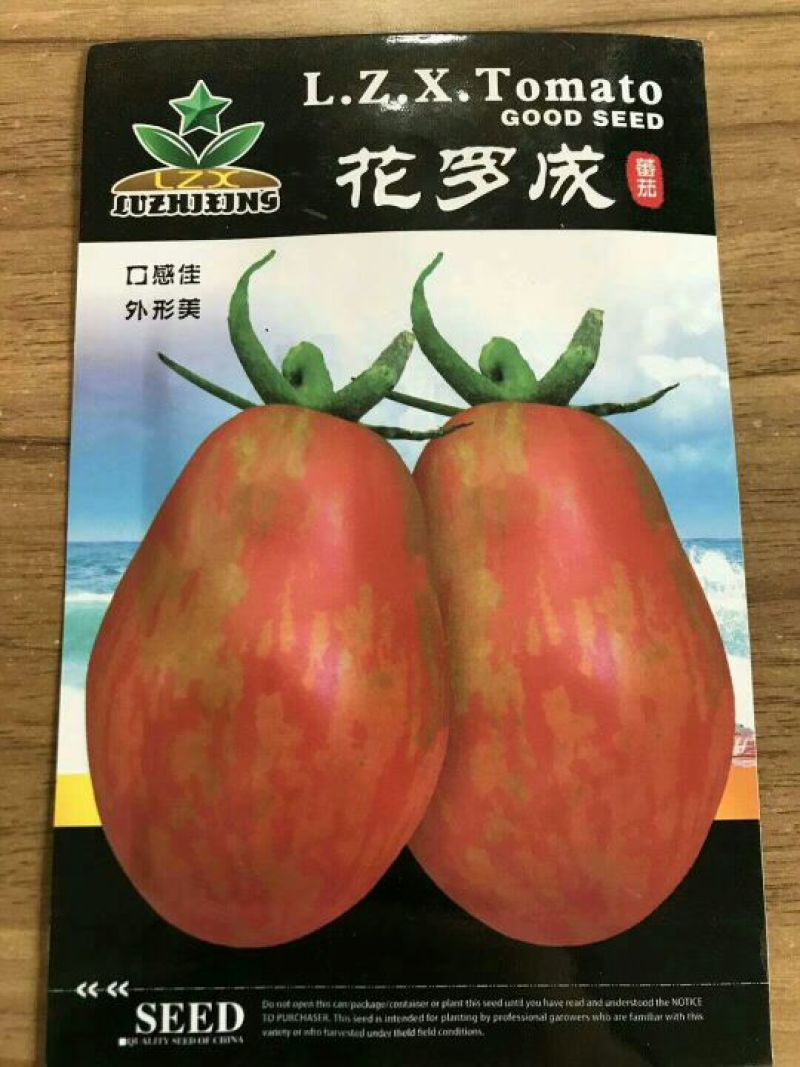 西红柿种子95%