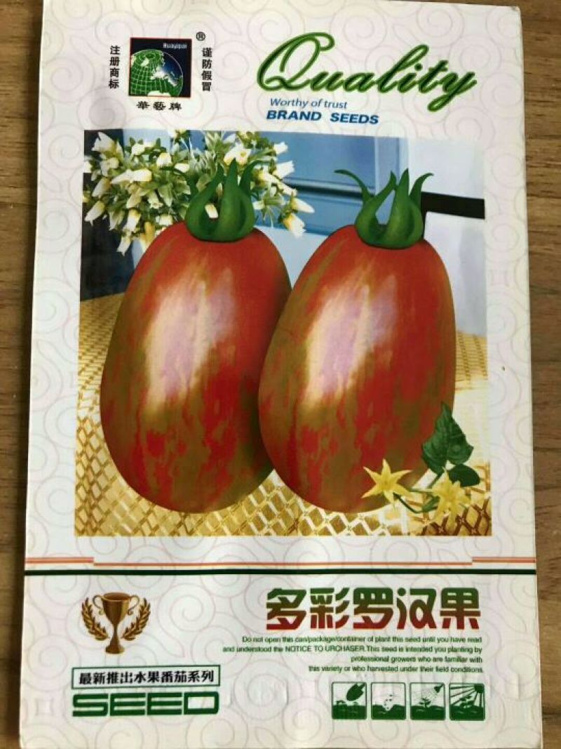 西红柿种子95%