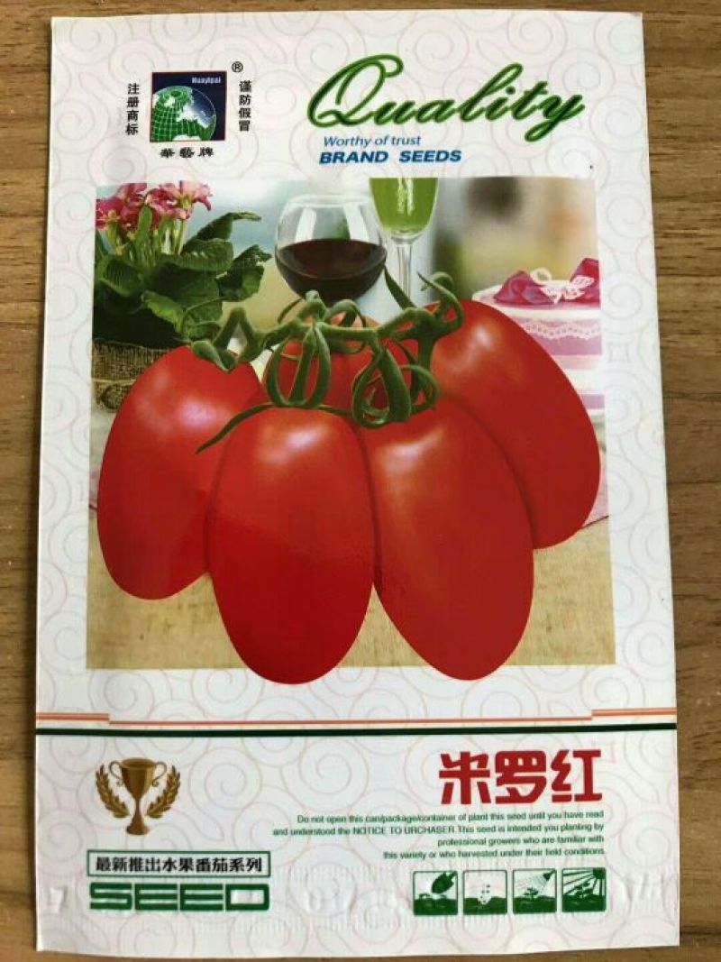 西红柿种子95%