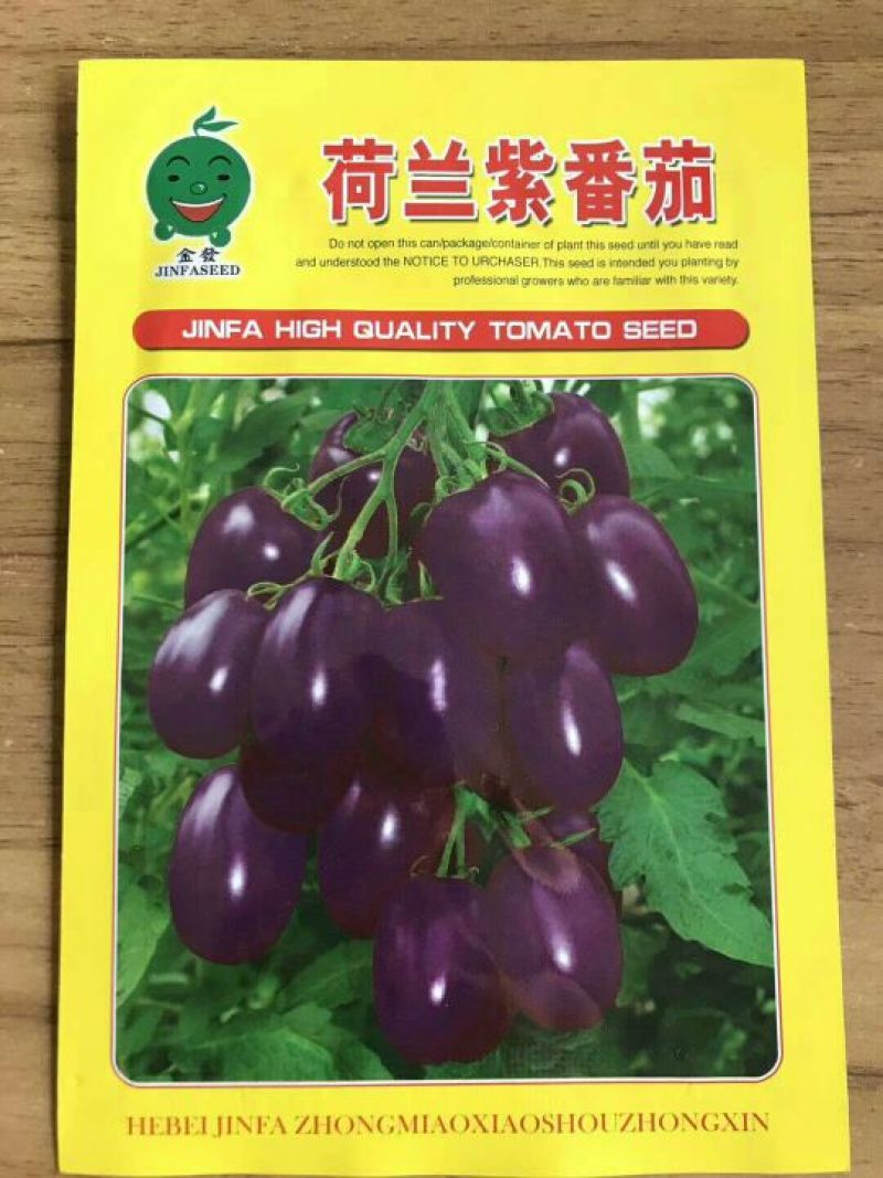 西红柿种子95%