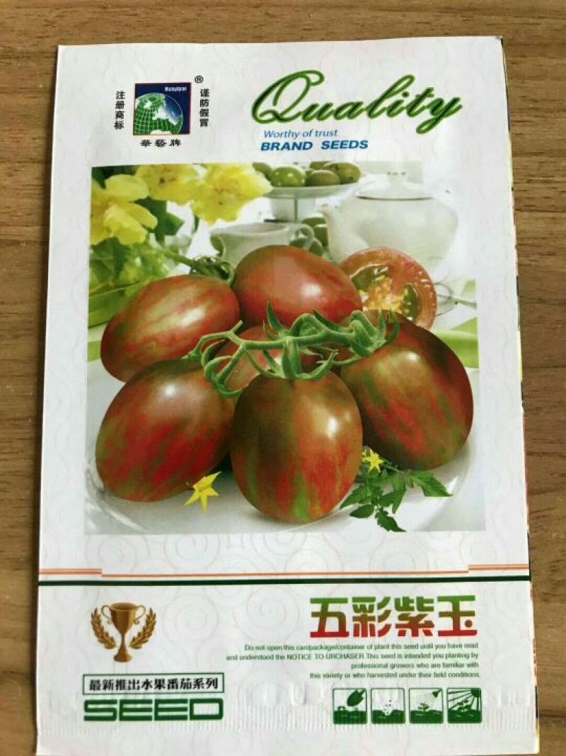 西红柿种子95%