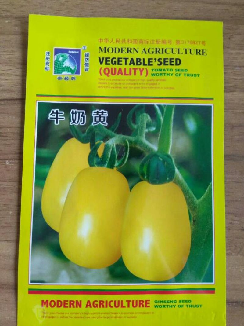 西红柿种子95%