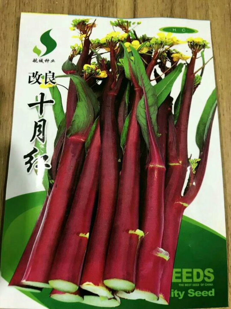 红菜苔种子95%以上