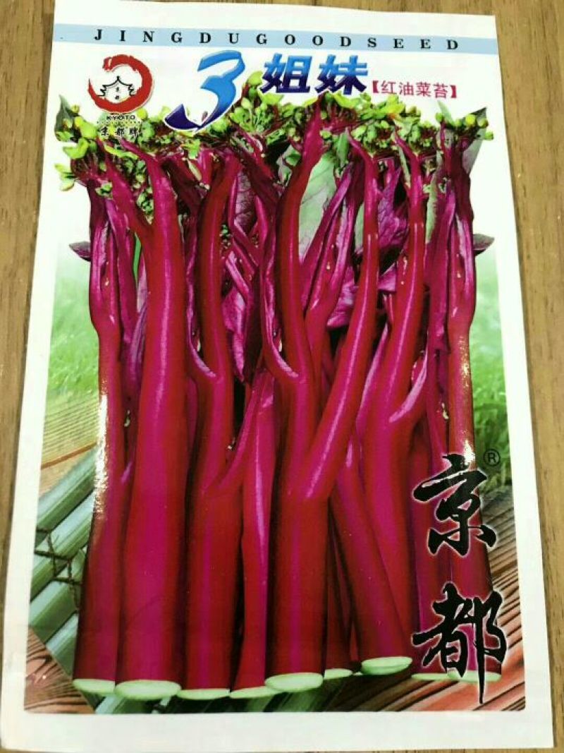 红菜苔种子95%以上