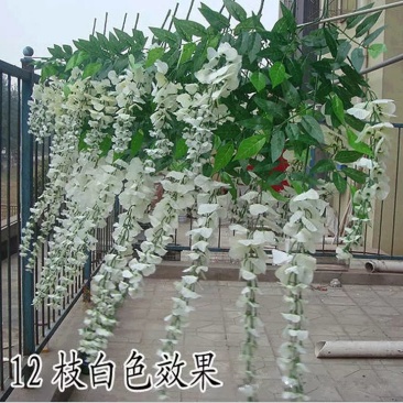 柳条