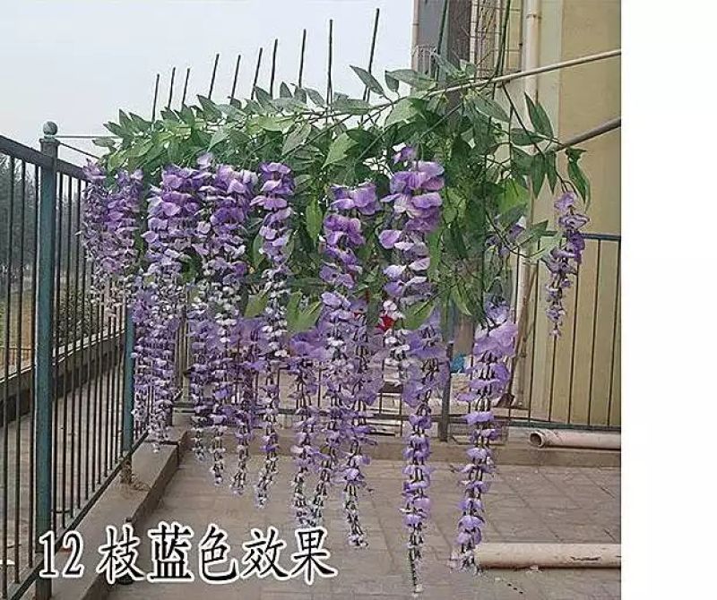 柳条