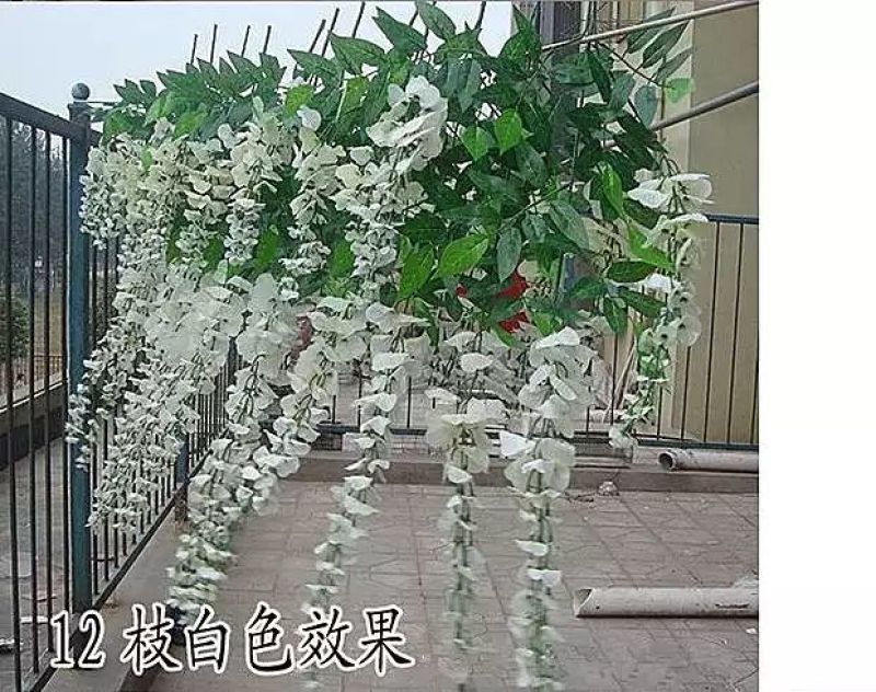 柳条