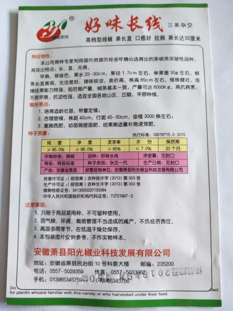 线椒种子97%以上