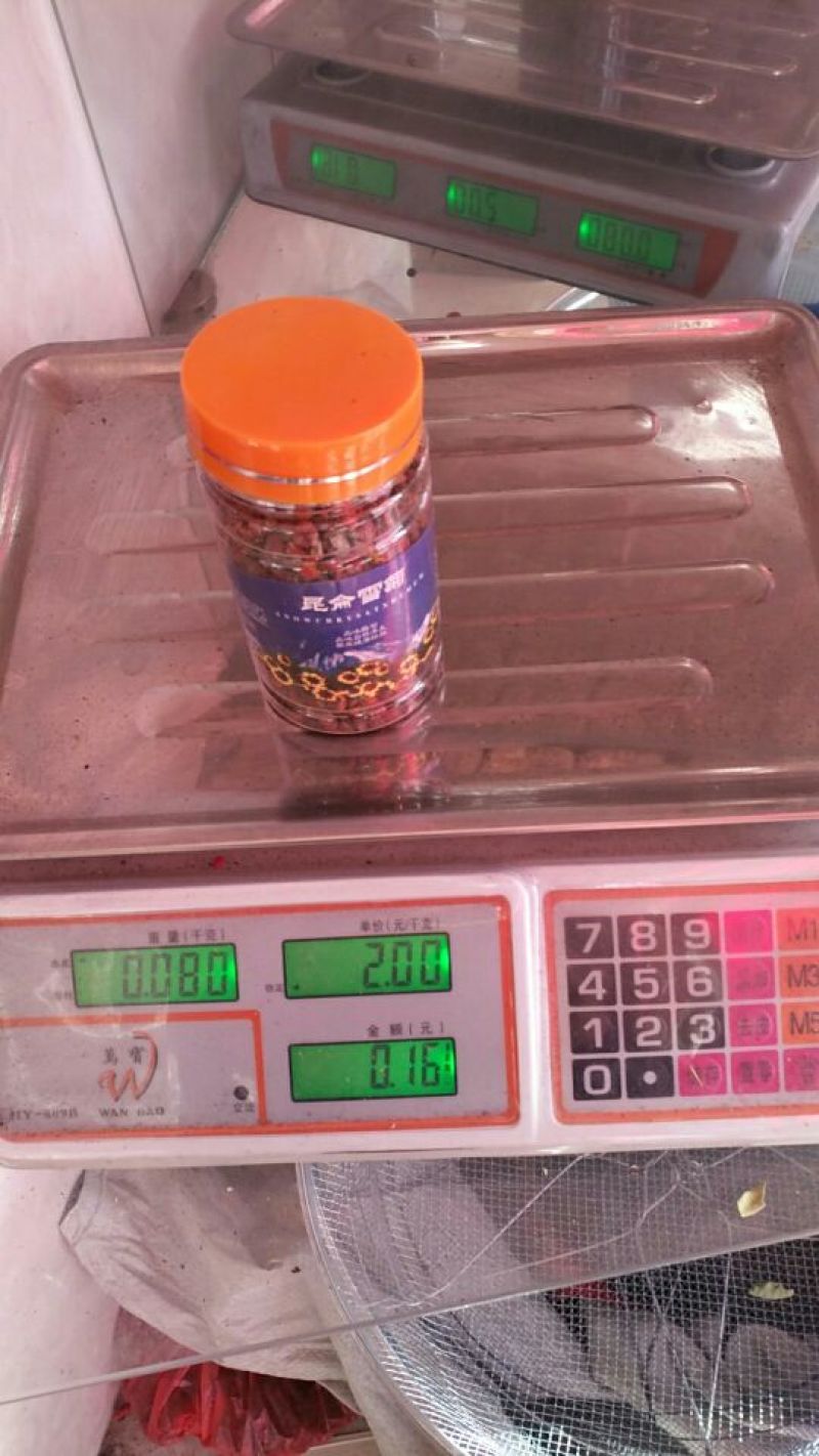 昆仑雪菊大量批发，有散装礼盒装瓶子装需要的联系我