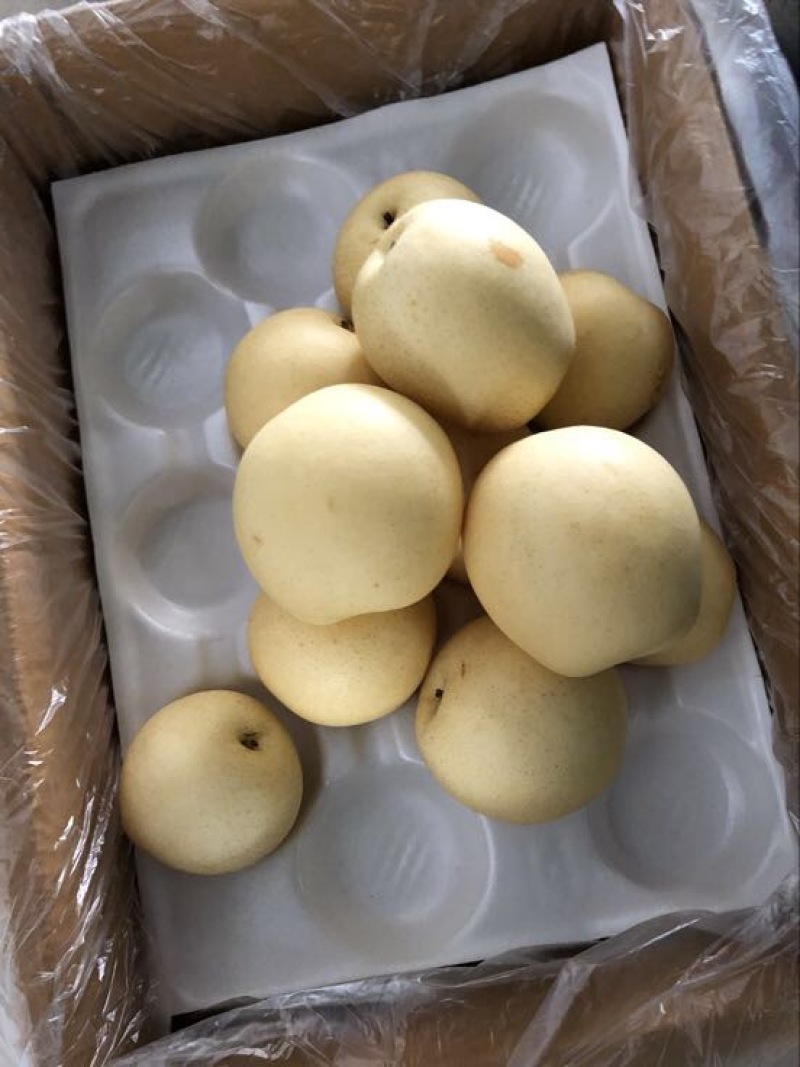 皇冠梨纸箱250~300g