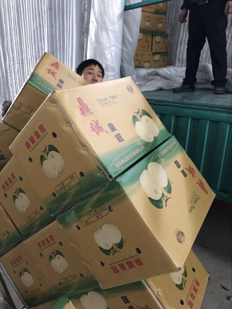 皇冠梨纸箱250~300g