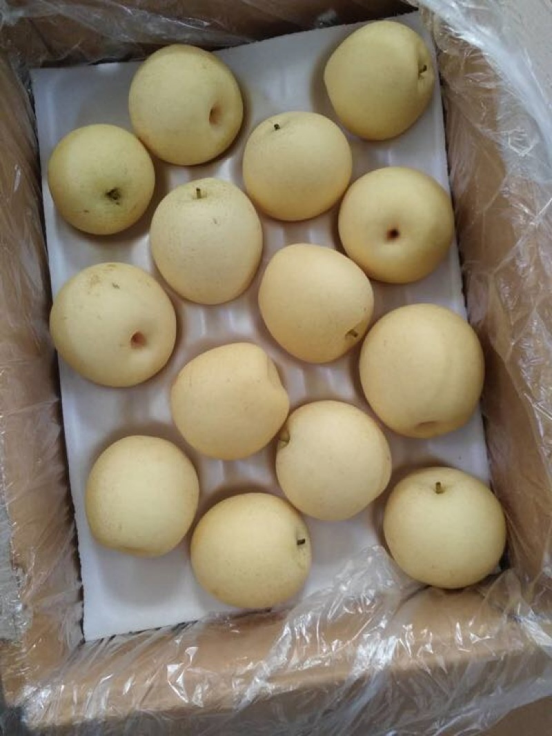皇冠梨纸箱250~300g