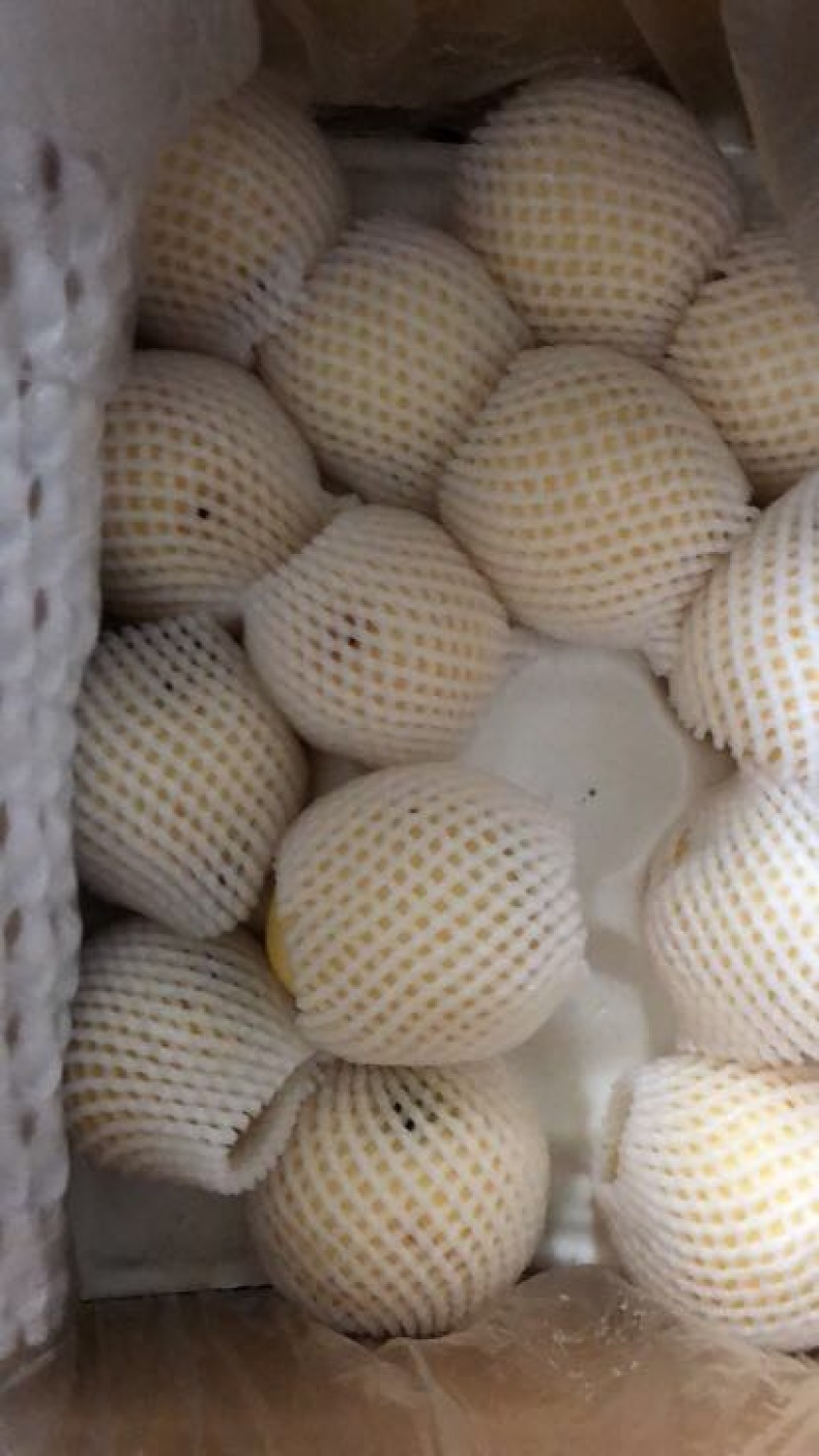 皇冠梨纸箱250~300g