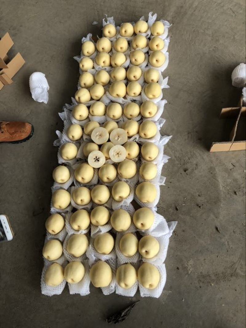 皇冠梨纸箱250~300g